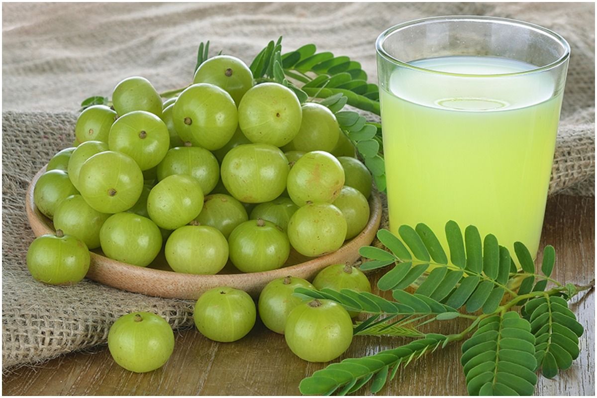 உடலில் நோய் எதிர்ப்பு சக்தி அதிகரிக்க நெல்லிக்காயை இப்படி சாப்பிடுங்க...